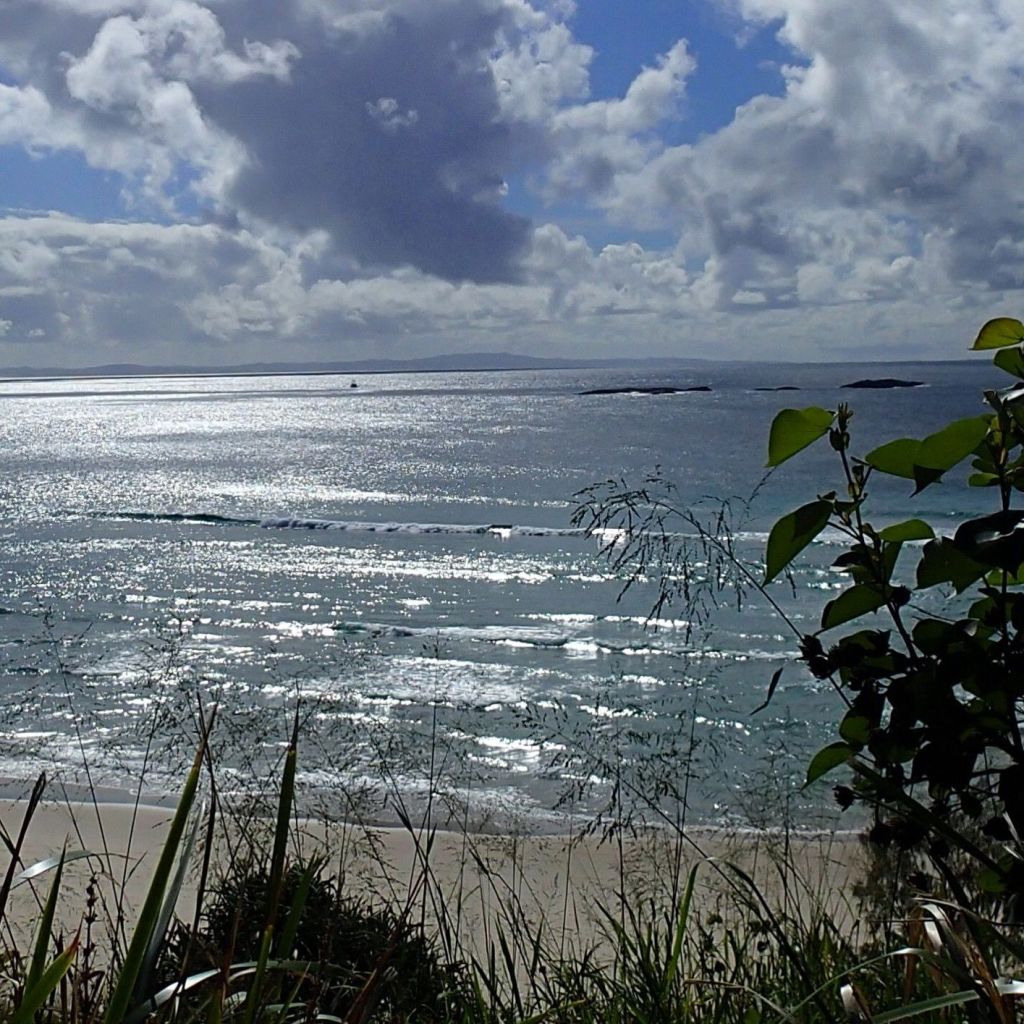 Sandy and Salty always..kind of…